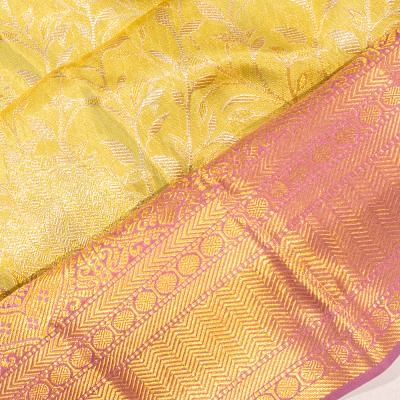 Taranga Kanchi Silk Tissue Jaal Yellow Saree
