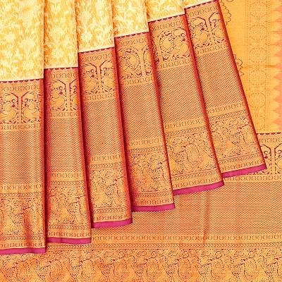 Taranga Kanchi Silk Tissue Brocade Gold Saree