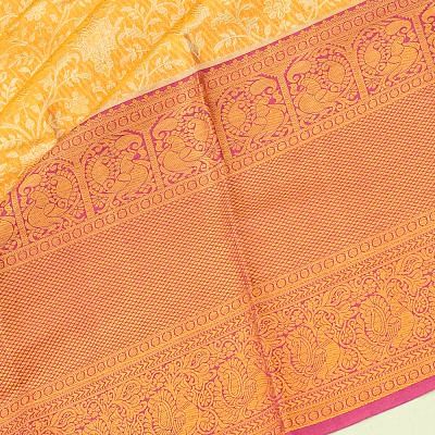 Taranga Kanchi Silk Tissue Brocade Gold Saree