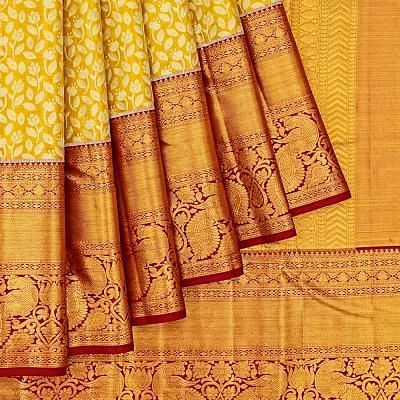 Taranga Kanchi Silk Tissue Brocade Gold Saree