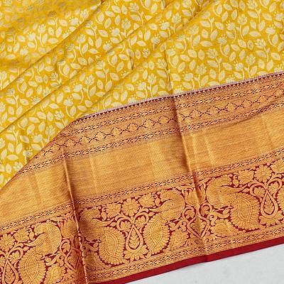 Taranga Kanchi Silk Tissue Brocade Gold Saree