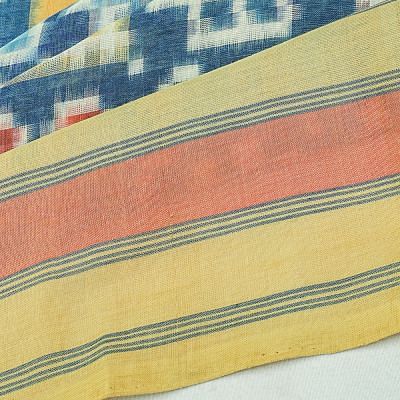 Telia Rumal Natural Dye Pochampally Cotton Double Ikat Blue Saree