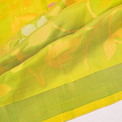 Uppada Silk All Over Jamdani Parrot Green Saree