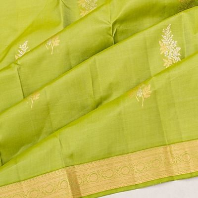 Taranga Kanchi Silk Butta Green Saree