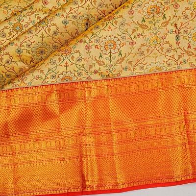 Taranga Kanchi Silk Tissue Brocade Gold Saree