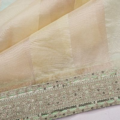 Organza Tissue Vertical Lines Multicolour Pastel Green Saree