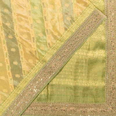 Organza Tissue Jaal Pastel Green Saree