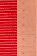Kanchipuram Silk Vertical Lines Red Saree