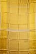 Kanchipuram Silk Tissue Jaal Gold Saree