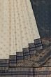 Parsi Gara x Kanchipuram Silk Butta Off White Saree