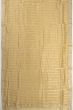 Organza Vertical Lines Cream Saree With Embroidery Border