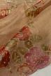 Organza Tissue Printed Outlined Beige Saree