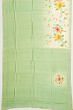 Tussar Floral Printed Pastel Green And Cream Saree