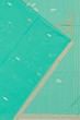 Phulia Cotton Butta Sea Green Saree