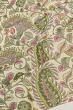 Tussar Floral Printed Cream Saree