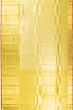 Kanchipuram Silk Tissue Brocade Gold Saree