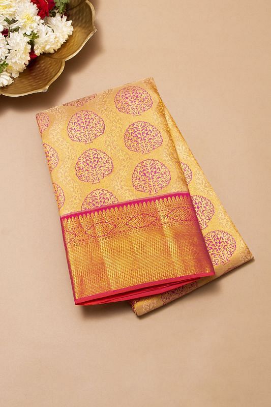 Taranga Kanchi Silk Tissue Brocade Gold Saree
