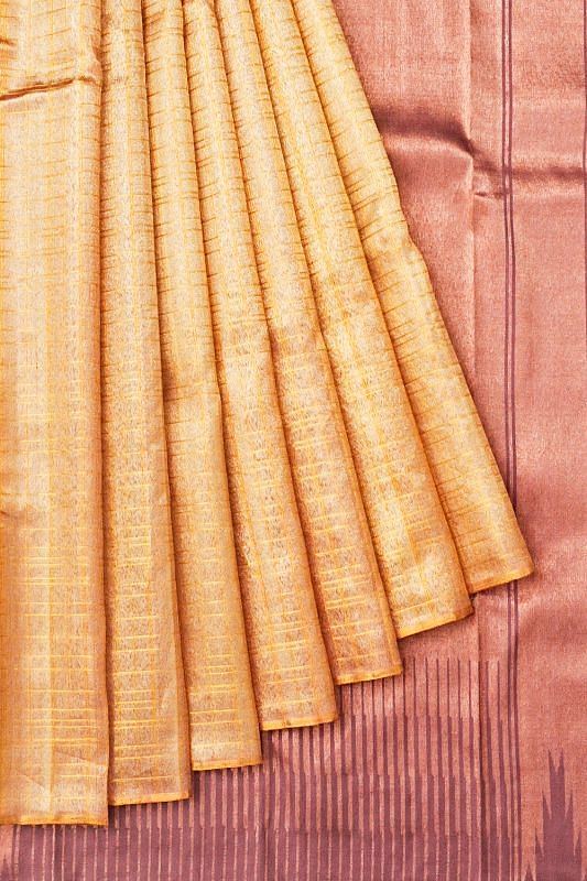 Kanchipuram Kora Organza Tissue Checks Gold Saree