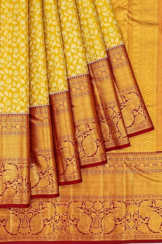 Taranga Kanchi Silk Tissue Brocade Gold Saree