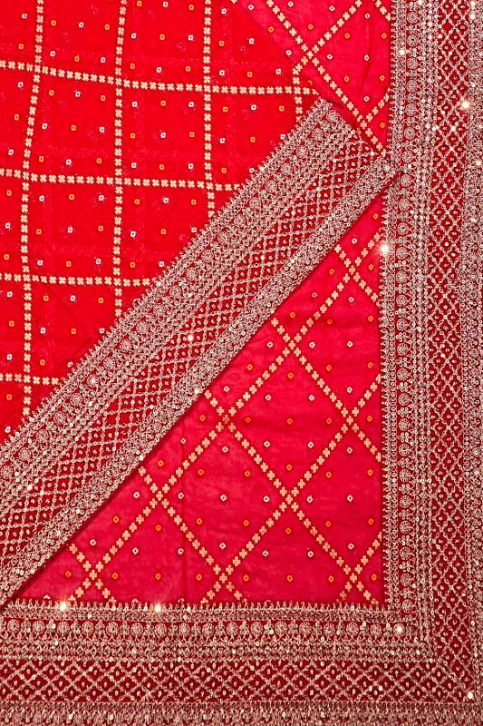 Georgette Criss Cross Checks Red Saree With Bandhani Inspired Pattern And Sequin Work