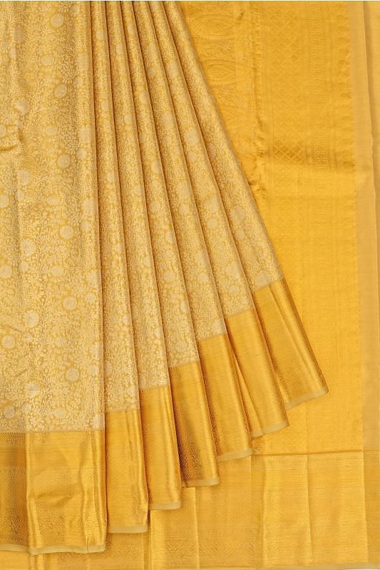 Taranga Kanchi Silk Tissue Brocade Gold Saree