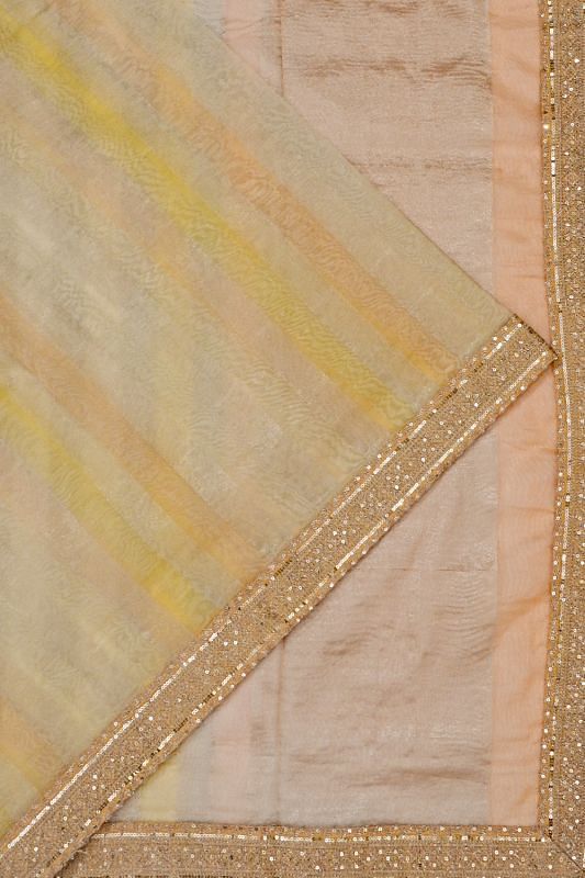 Organza Tissue Vertical Lines Multicolour Cream Saree