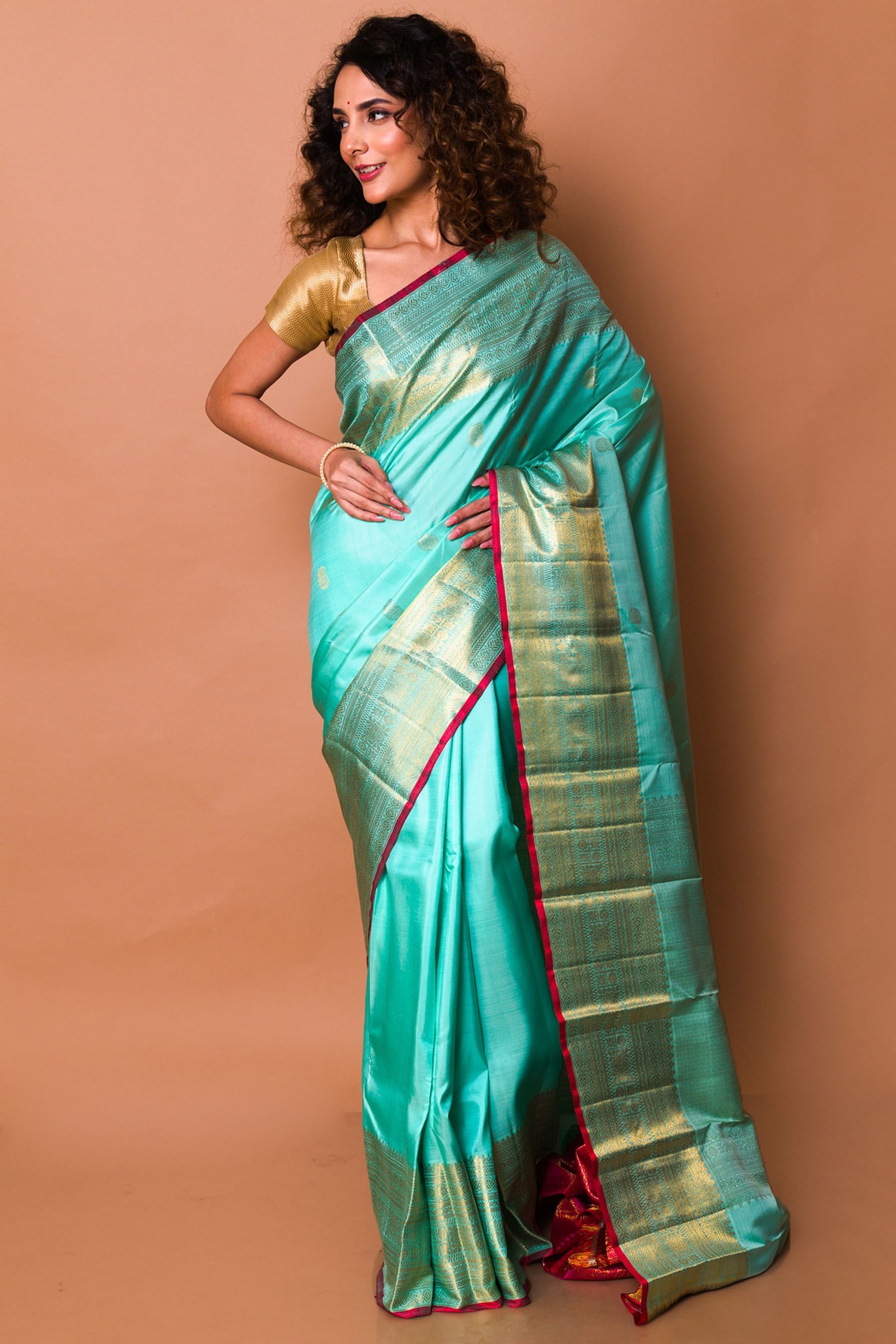 Beautiful Sky Blue Soft Silk Saree With Weaving Silver Zari – Shivansh Fab